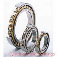 0.787 Inch | 20 Millimeter x 1.654 Inch | 42 Millimeter x 0.551 Inch | 14 Millimeter  SKF NJ 2004 EV/C3  Cylindrical Roller Bearings