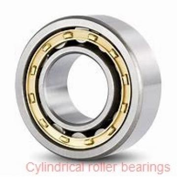 50 mm x 80 mm x 16 mm  SKF NU 1010 ML  Cylindrical Roller Bearings