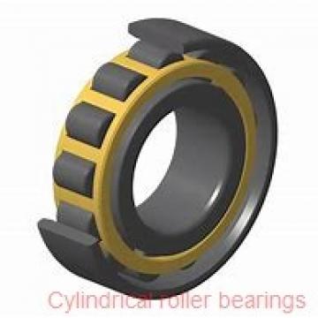 80 mm x 170 mm x 39 mm  SKF NUP 316 ECP  Cylindrical Roller Bearings